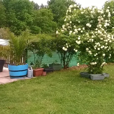 Ferme De Cartignac Couette-café *